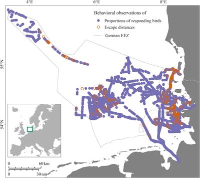 A Ship Traffic Disturbance Vulnerability Index for Northwest European Seabirds as a Tool for Marine Spatial Planning